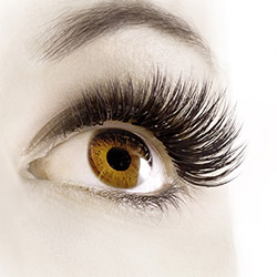Luxus Lashes Wimpern