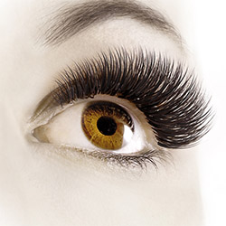 Luxus Lashes Wimpern
